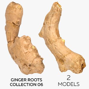 3D model Ginger Roots Collection 06 -  2 models