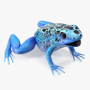 Blue Poison Arrow Frog Rigged for Maya