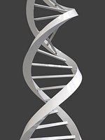 DNA Triangular