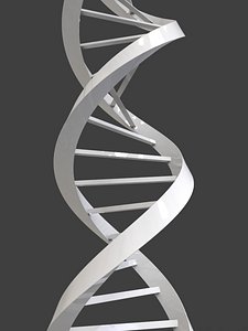 DNA Triangular