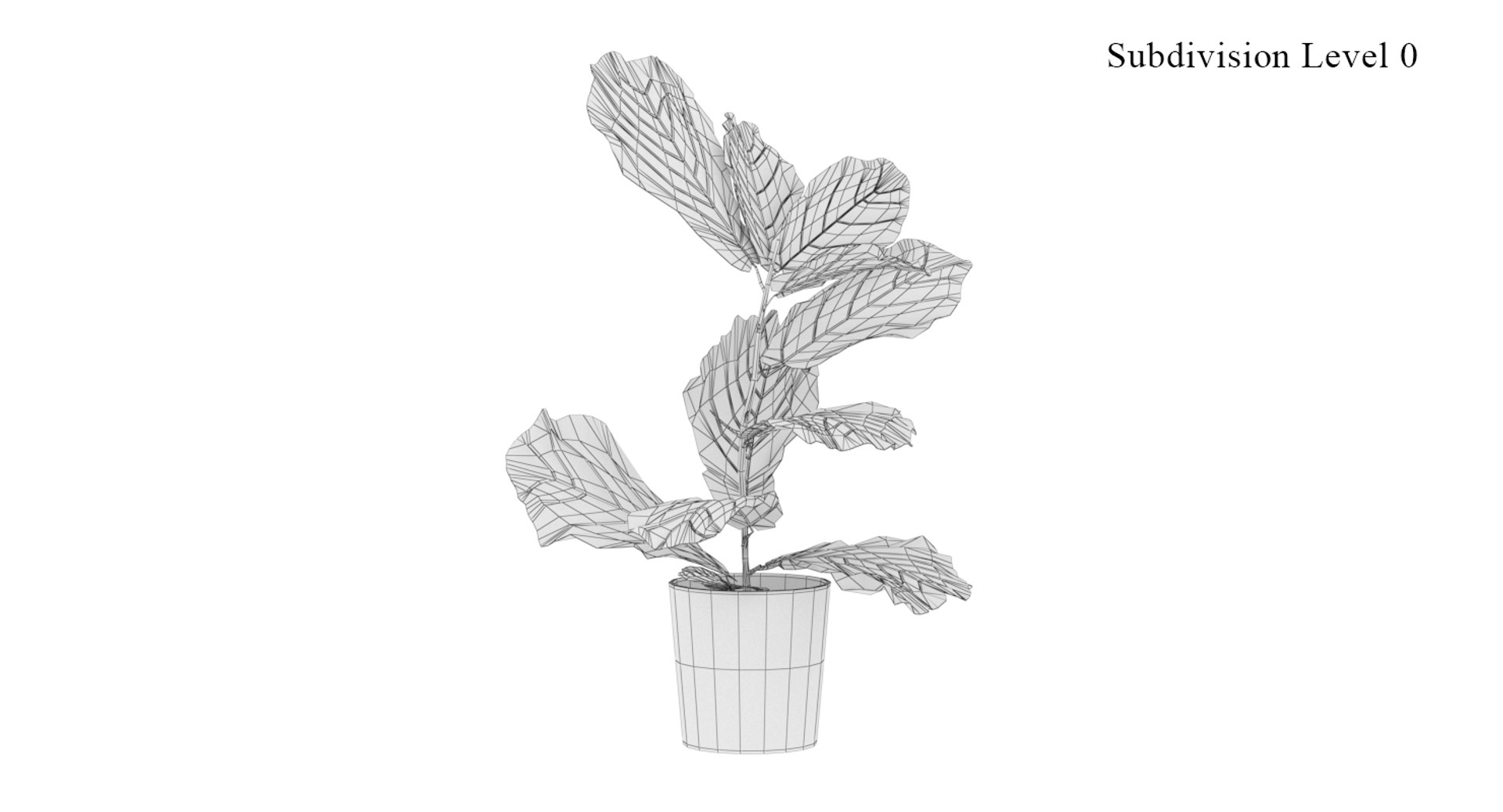 realistic ficus lyrata model https://p.turbosquid.com/ts-thumb/lS/Prnxe8/IDx77UnH/ficus_lyrata_06_wire/jpg/1553788001/1920x1080/fit_q87/79b08a57ec5971c9bf94426c02ac6767c983f2c2/ficus_lyrata_06_wire.jpg