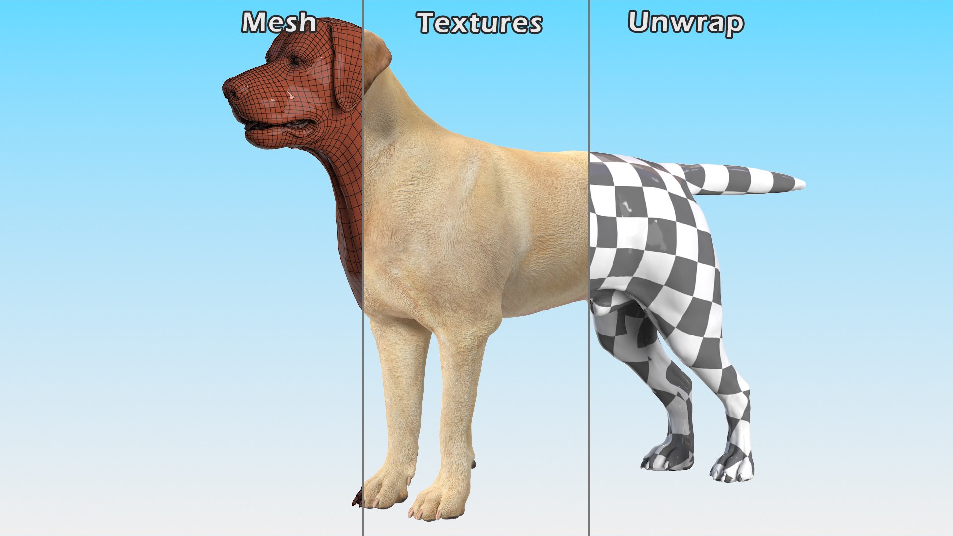 Labrador Dog White Rigged for Cinema 4D 3D model https://p.turbosquid.com/ts-thumb/lS/YeNyJ9/Bz/labradordogwhiteriggedc4dmodel027/jpg/1638365466/1920x1080/fit_q87/daddc4da943eeca75becb62da06a56b3556c5950/labradordogwhiteriggedc4dmodel027.jpg