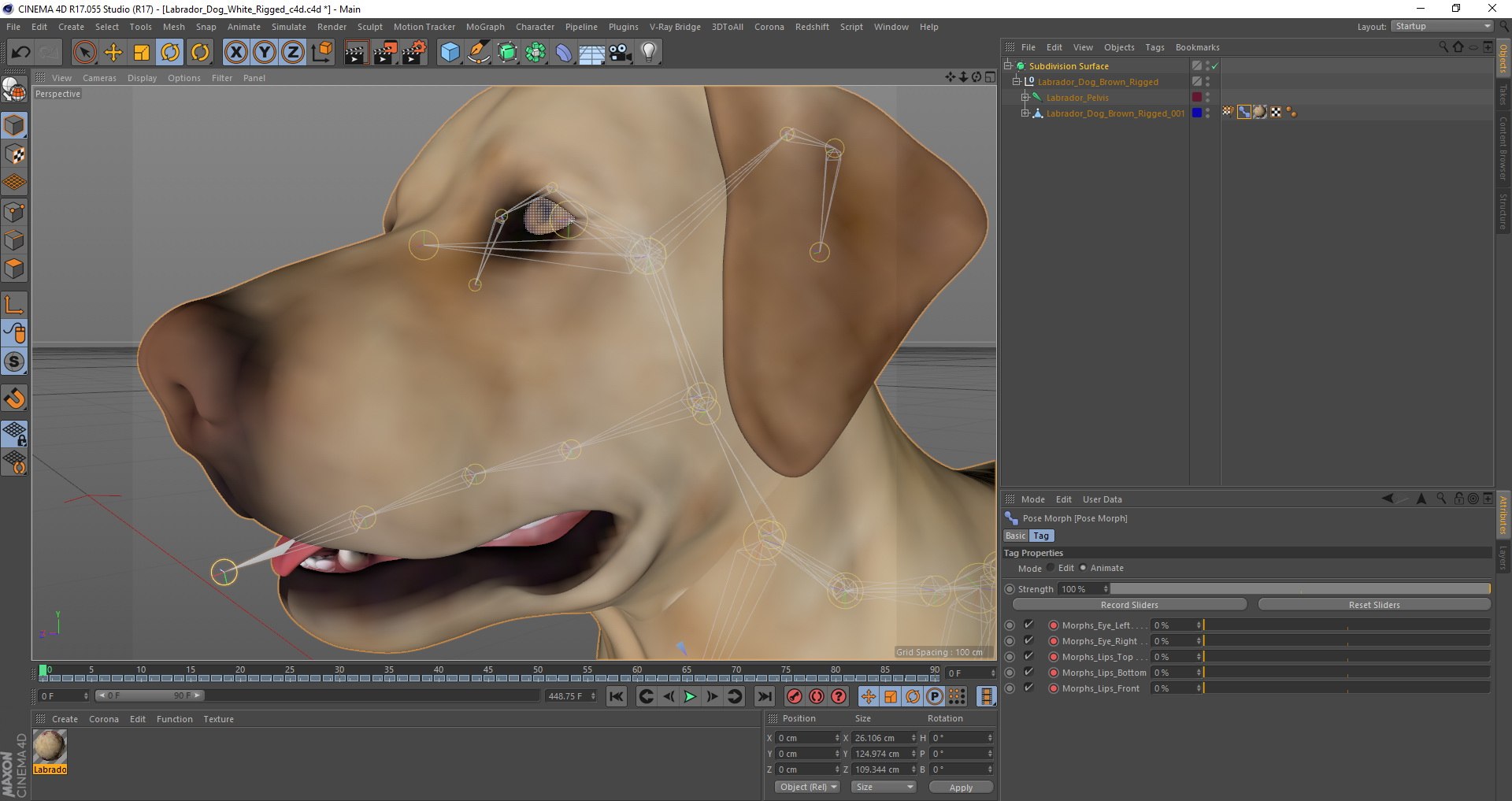 Labrador Dog White Rigged for Cinema 4D 3D model https://p.turbosquid.com/ts-thumb/lS/YeNyJ9/I5/labrador_dog_white_rigged_c4d_04/jpg/1645781186/1920x1080/fit_q87/0aa7f652095c02a04f08b2482c9249299f2a190a/labrador_dog_white_rigged_c4d_04.jpg