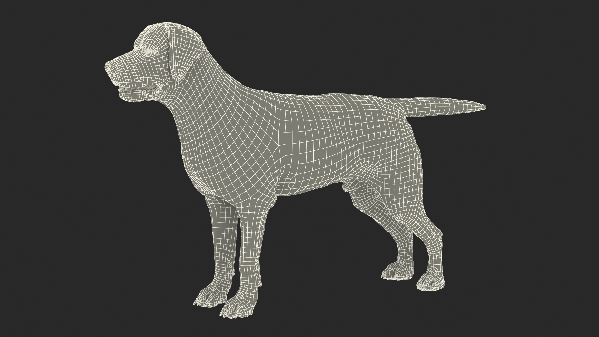 Labrador Dog White Rigged for Cinema 4D 3D model https://p.turbosquid.com/ts-thumb/lS/YeNyJ9/Km/labrador_dog_white_rigged_362/jpg/1638365504/1920x1080/turn_fit_q99/32db39586c658938ce3e828a4f9f9c5ef0c0d913/labrador_dog_white_rigged_362-1.jpg