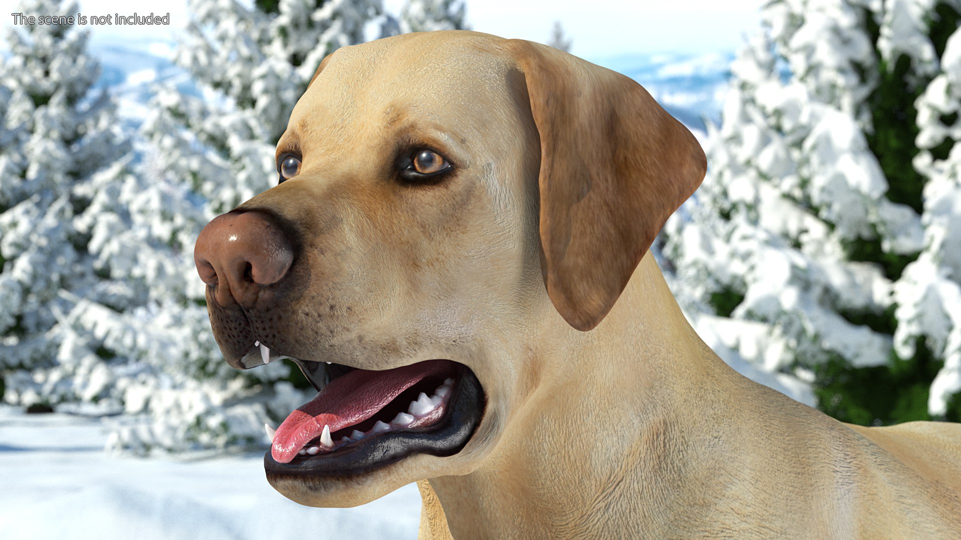 Labrador Dog White Rigged for Cinema 4D 3D model https://p.turbosquid.com/ts-thumb/lS/YeNyJ9/Lp/labradordogwhiteriggedc4dmodel008/jpg/1638365417/1920x1080/fit_q87/65e6ecfd4a587908bbfec71e92c00b4fb3fdfb62/labradordogwhiteriggedc4dmodel008.jpg