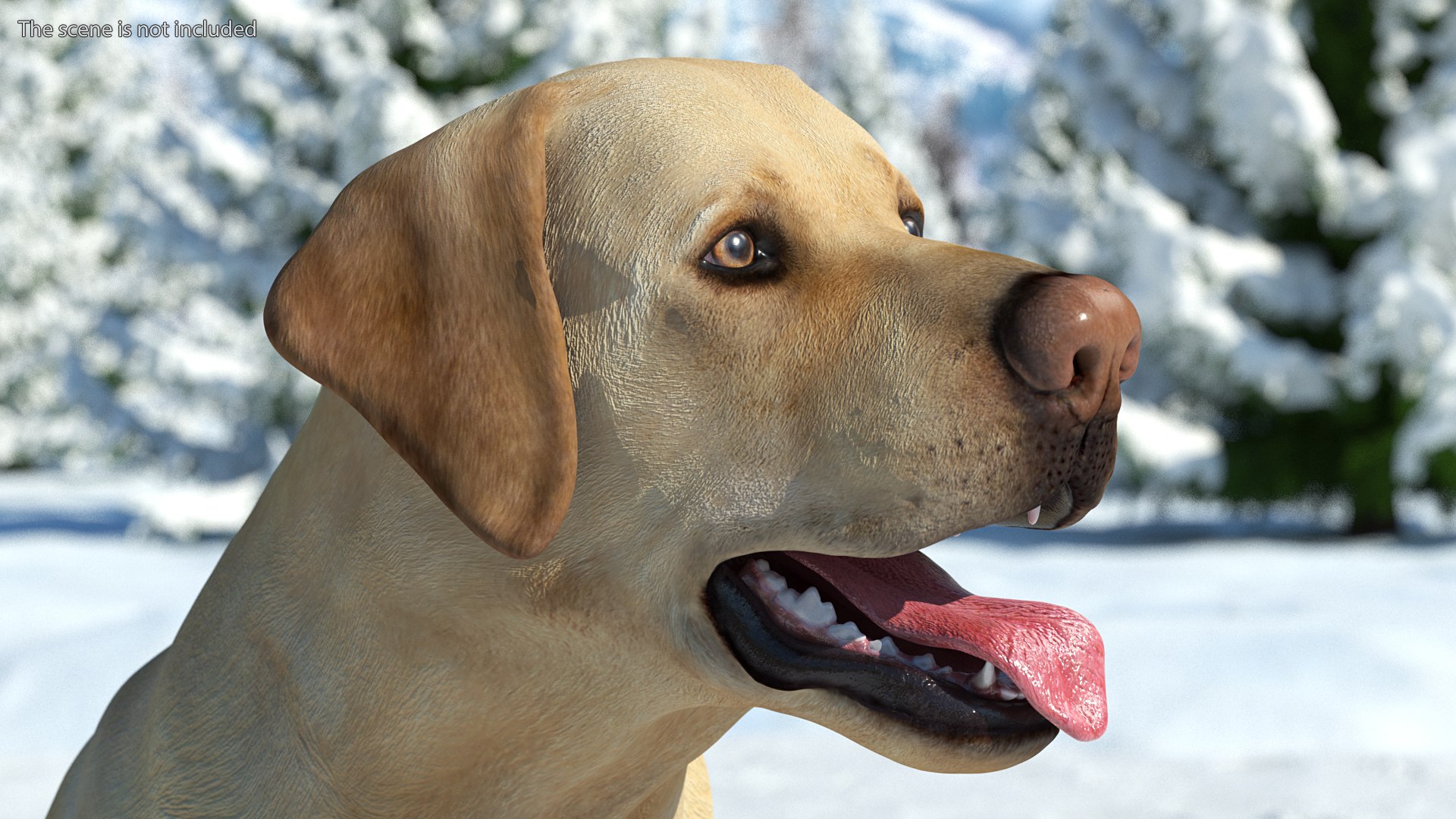 Labrador Dog White Rigged for Cinema 4D 3D model https://p.turbosquid.com/ts-thumb/lS/YeNyJ9/NT/labradordogwhiteriggedc4dmodel010/jpg/1638365422/1920x1080/fit_q87/8bf1aac4be64334a023d63636f03aa5b3d0d0449/labradordogwhiteriggedc4dmodel010.jpg