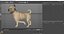 Labrador Pies Biały Rigged dla Cinema 4D
