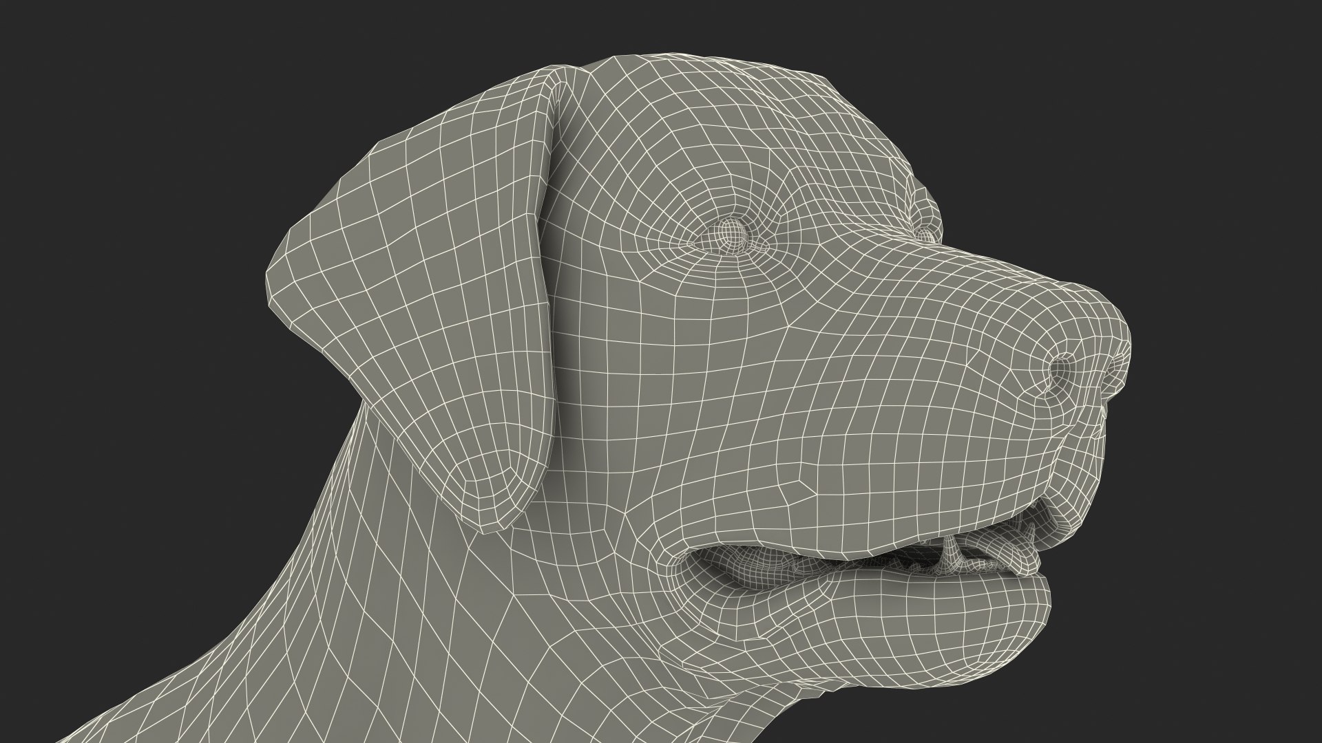 Labrador Dog White Rigged for Cinema 4D 3D model https://p.turbosquid.com/ts-thumb/lS/YeNyJ9/e4/labradordogwhiteriggedc4dmodel037/jpg/1638365491/1920x1080/fit_q87/a275df373d08763d95d467dcd46ac6098055a75a/labradordogwhiteriggedc4dmodel037.jpg