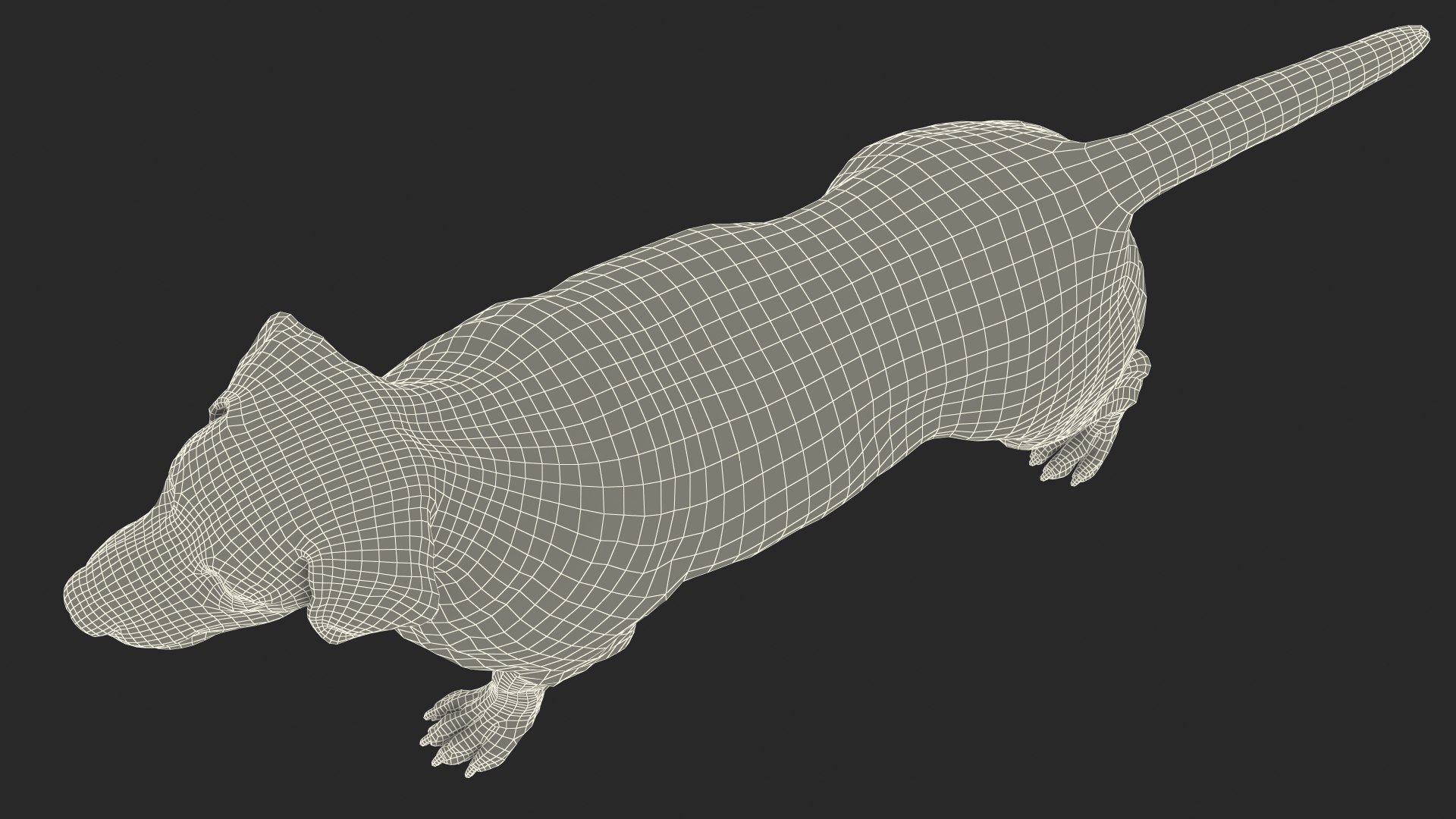 Labrador Dog White Rigged for Cinema 4D 3D model https://p.turbosquid.com/ts-thumb/lS/YeNyJ9/gs/labradordogwhiteriggedc4dmodel034/jpg/1638365484/1920x1080/fit_q87/cacea5b5370a7d44689a72a19ee846a1ff8b6825/labradordogwhiteriggedc4dmodel034.jpg