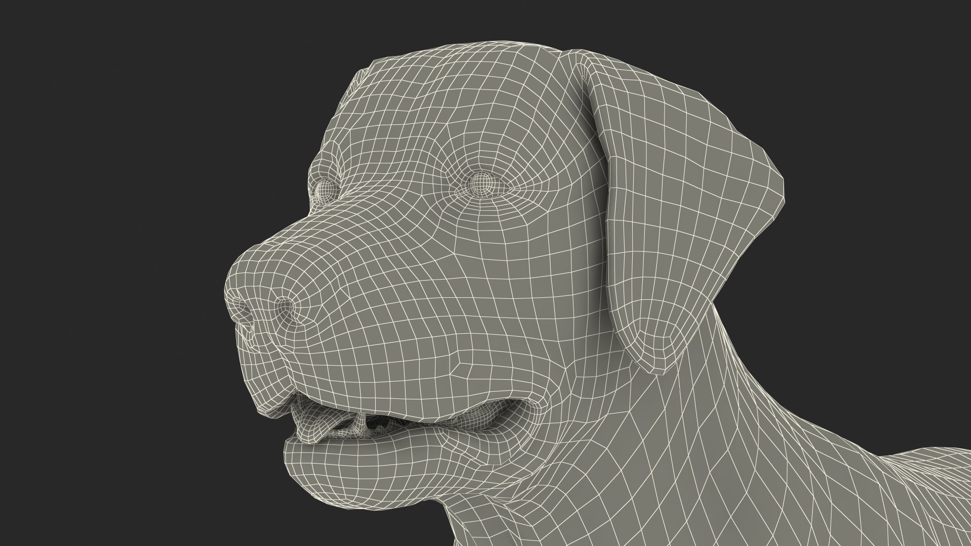 Labrador Dog White Rigged for Cinema 4D 3D model https://p.turbosquid.com/ts-thumb/lS/YeNyJ9/yK/labradordogwhiteriggedc4dmodel036/jpg/1638365489/1920x1080/fit_q87/bbb305db50860e2d70489e5e4b1a6d94428fb4b5/labradordogwhiteriggedc4dmodel036.jpg