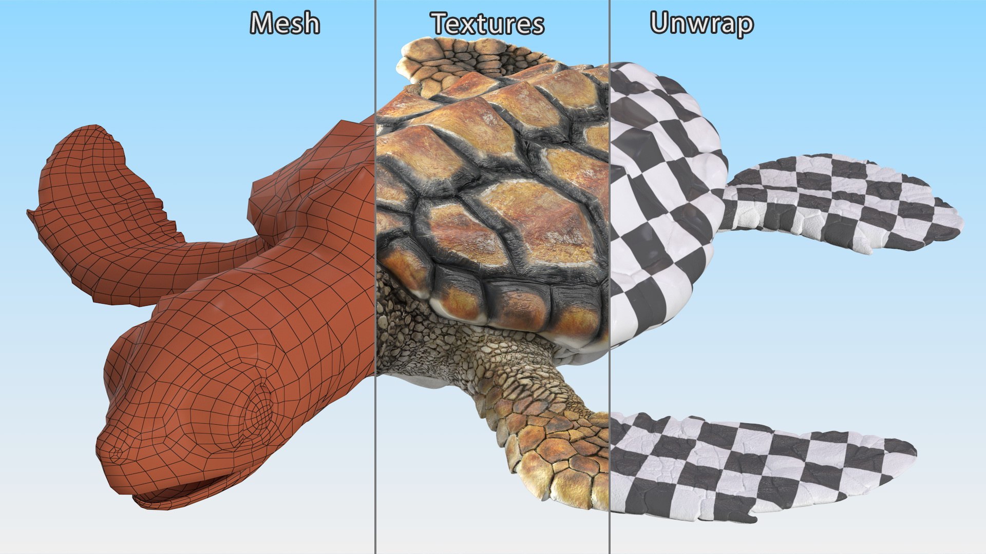 Rigged Sea Turtle With Baby Turtle Collection Model - TurboSquid 2298707