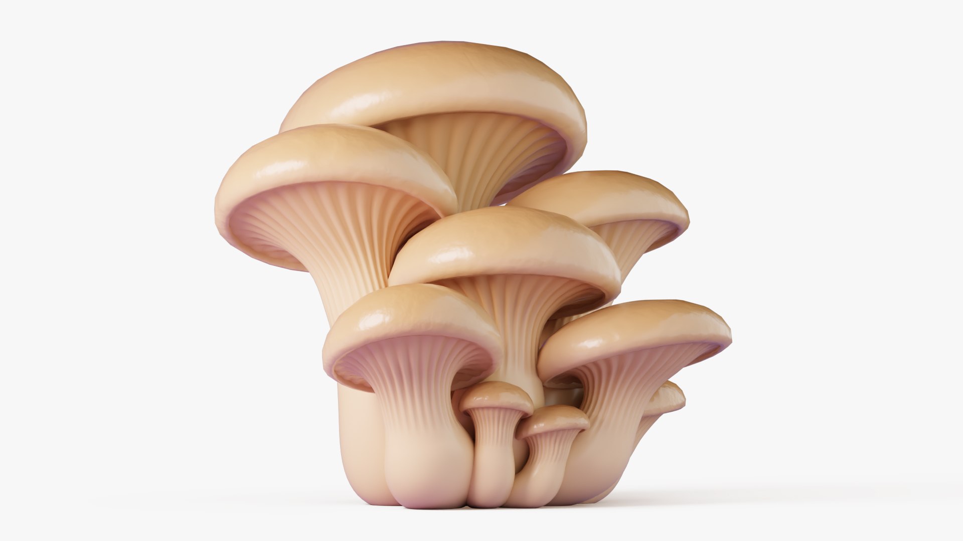 3D Oyster Mushrooms Cluster model https://p.turbosquid.com/ts-thumb/lS/gpQ7ui/3L/oyster_1/jpg/1770393623/1920x1080/fit_q87/22e664549384af8449e7eb59fa8a0652e45a009d/oyster_1.jpg