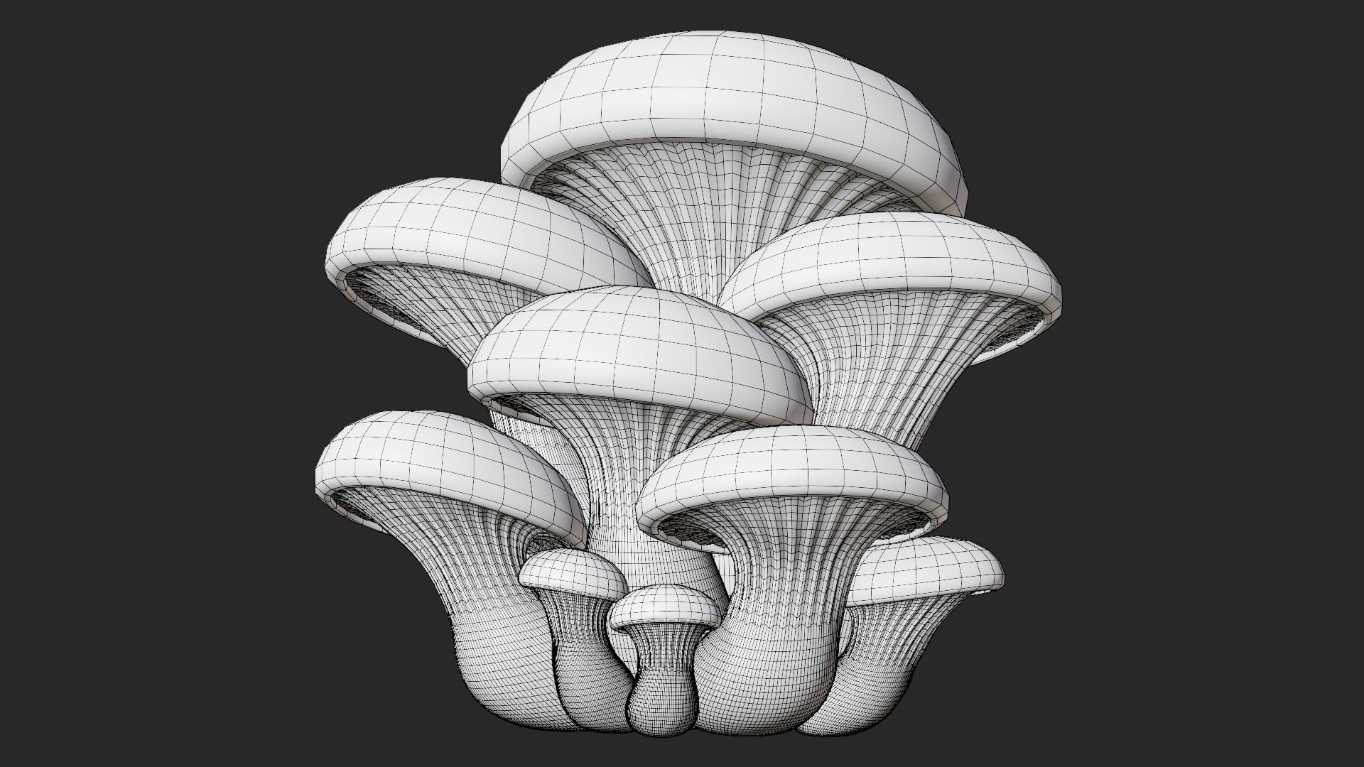 3D Oyster Mushrooms Cluster model https://p.turbosquid.com/ts-thumb/lS/gpQ7ui/7d/oyster_wireframe/jpg/1770393628/1920x1080/fit_q87/b2afdc98b46a7f50126eaeca7809ec1864502f1c/oyster_wireframe.jpg