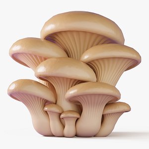 3D Oyster Mushrooms Cluster model