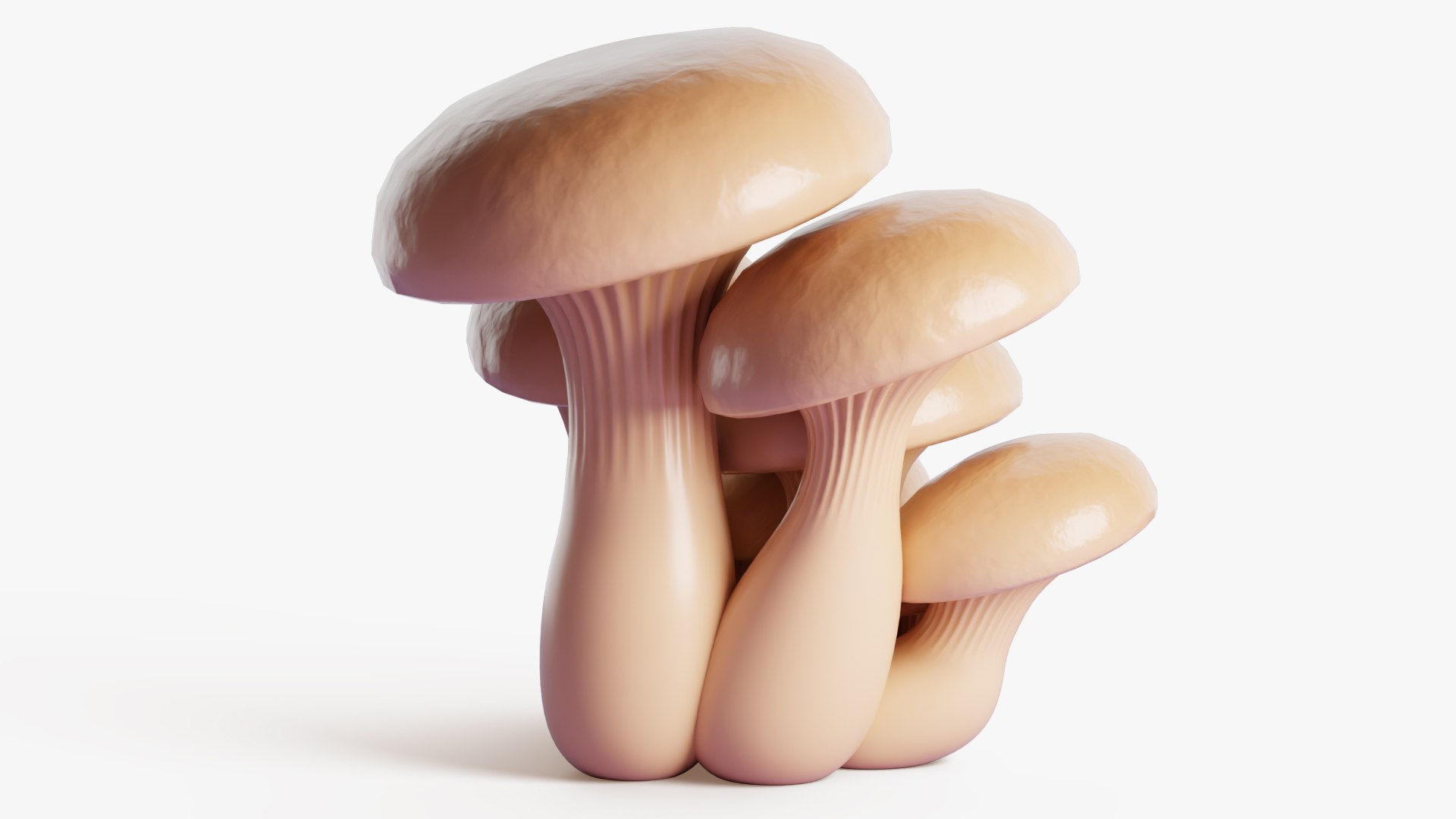 3D Oyster Mushrooms Cluster model https://p.turbosquid.com/ts-thumb/lS/gpQ7ui/o0/oyster_4/jpg/1770393626/1920x1080/fit_q87/42d68ce59379423aca1eb8eec951eba3ef5a45ad/oyster_4.jpg