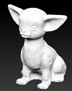 chihuahua