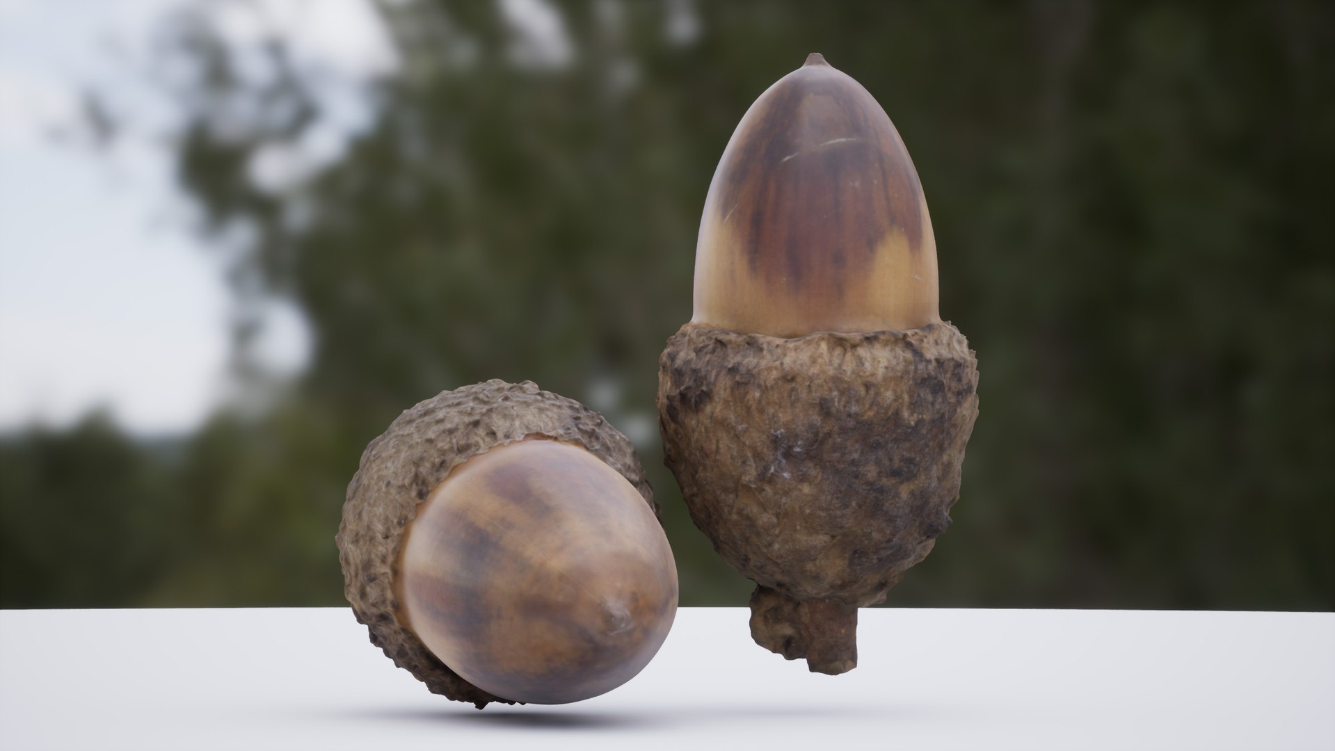 12 in 1 Photoscanned Forest Floor Asset Pack 4K-8K PBR by Bulut- 3D model https://p.turbosquid.com/ts-thumb/lS/kXYIdc/Ee/highresscreenshot00018/jpg/1541608863/1920x1080/fit_q87/19b1e2c967dd77a932bd5d0e7f6c96e6b55e9ee1/highresscreenshot00018.jpg