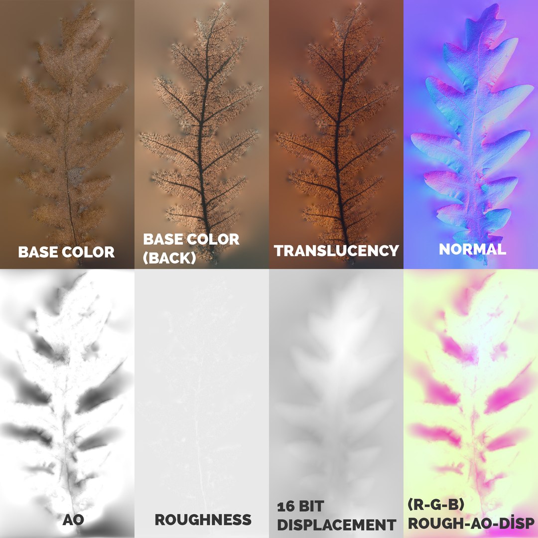 12 in 1 Photoscanned Forest Floor Asset Pack 4K-8K PBR by Bulut- 3D model https://p.turbosquid.com/ts-thumb/lS/kXYIdc/HR/pjimage/png/1519522660/1920x1080/fit_q87/4c225f198db3ce3175e4c2c05011bb67fb7a3321/pjimage.jpg