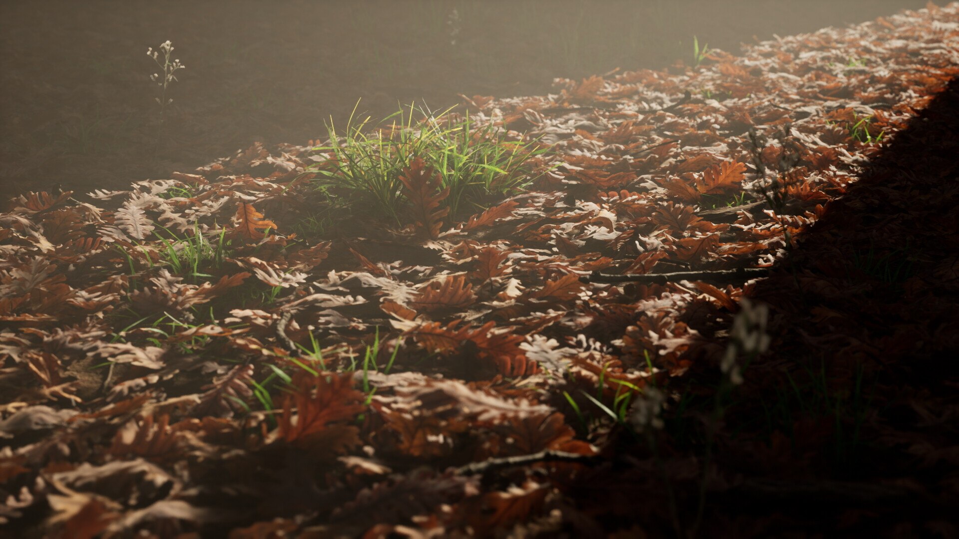 12 in 1 Photoscanned Forest Floor Asset Pack 4K-8K PBR by Bulut- 3D model https://p.turbosquid.com/ts-thumb/lS/kXYIdc/OX/buluthighresscreenshot00000/jpg/1786579571/1920x1080/fit_q87/4905c5218d709a6ce0067dd2df111edb7a577c09/buluthighresscreenshot00000.jpg