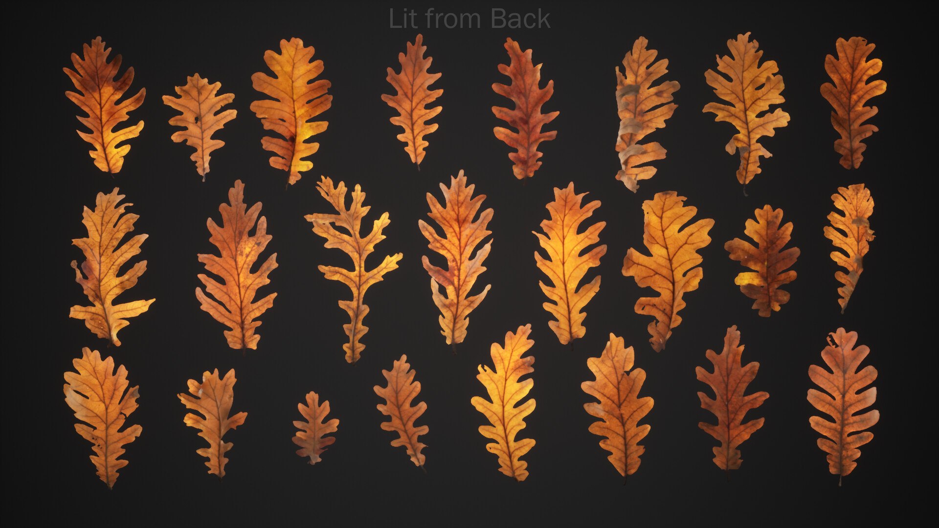 12 in 1 Photoscanned Forest Floor Asset Pack 4K-8K PBR by Bulut- 3D model https://p.turbosquid.com/ts-thumb/lS/kXYIdc/P7/buluthighresscreenshot00050backlit/jpg/1786579928/1920x1080/fit_q87/b3e7b0ae9590f46d601d8e656a74f7e108a5b61d/buluthighresscreenshot00050backlit.jpg