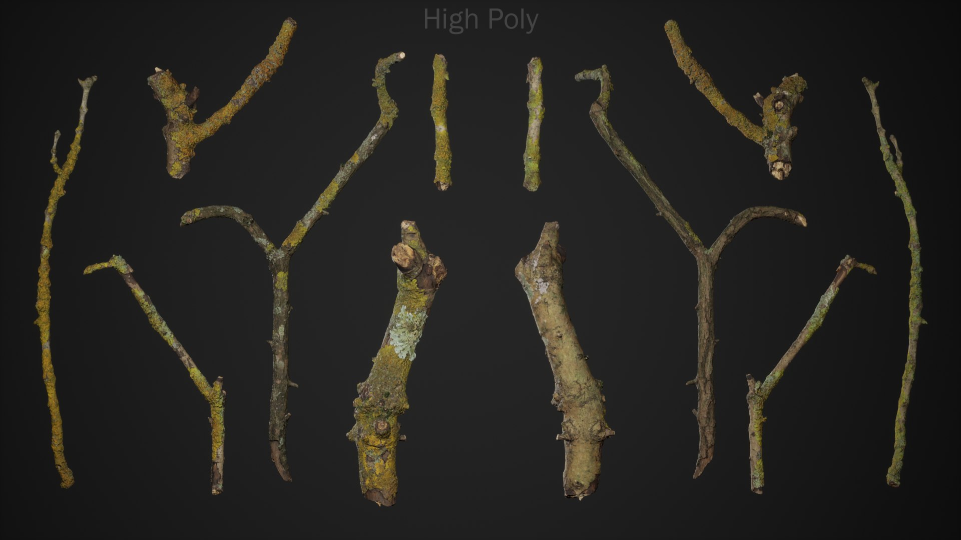 12 in 1 Photoscanned Forest Floor Asset Pack 4K-8K PBR by Bulut- 3D model https://p.turbosquid.com/ts-thumb/lS/kXYIdc/Rq/highresscreenshot00139_highpoly/png/1605996897/1920x1080/fit_q87/7ef31031947265aff4ee4f2540c48acc283c70fa/highresscreenshot00139_highpoly.jpg
