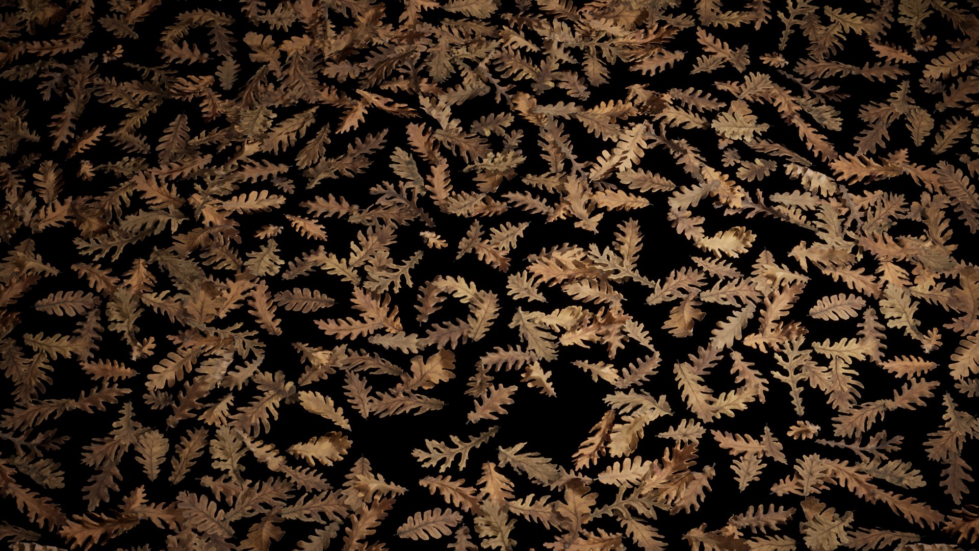 12 in 1 Photoscanned Forest Floor Asset Pack 4K-8K PBR by Bulut- 3D model https://p.turbosquid.com/ts-thumb/lS/kXYIdc/kG/highresscreenshot00075/png/1605843738/1920x1080/fit_q87/02e8b4efc978b0d3c2db824fe7dbbdf9ca57660c/highresscreenshot00075.jpg