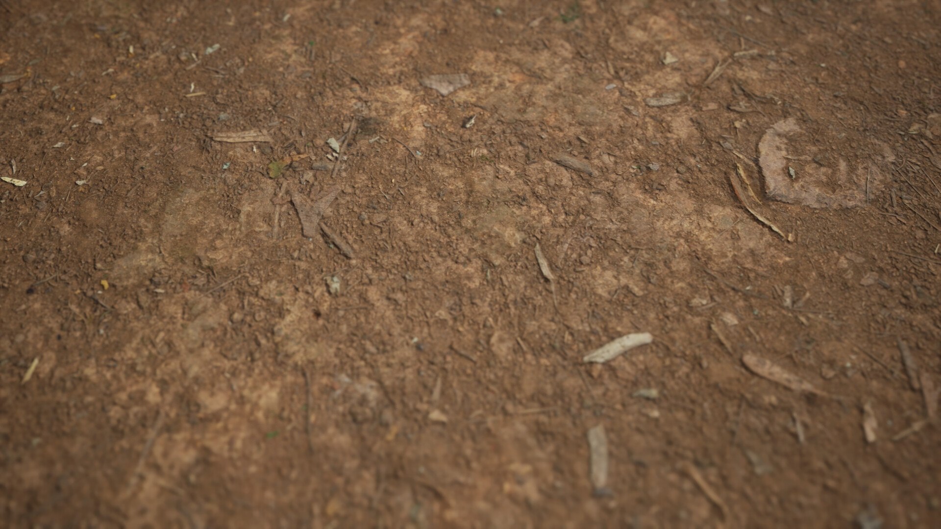 12 in 1 Photoscanned Forest Floor Asset Pack 4K-8K PBR by Bulut- 3D model https://p.turbosquid.com/ts-thumb/lS/kXYIdc/y6/buluthighresscreenshot00074/jpg/1786579923/1920x1080/fit_q87/27671e4b5f854e487b6b82be482974e217eb072c/buluthighresscreenshot00074.jpg