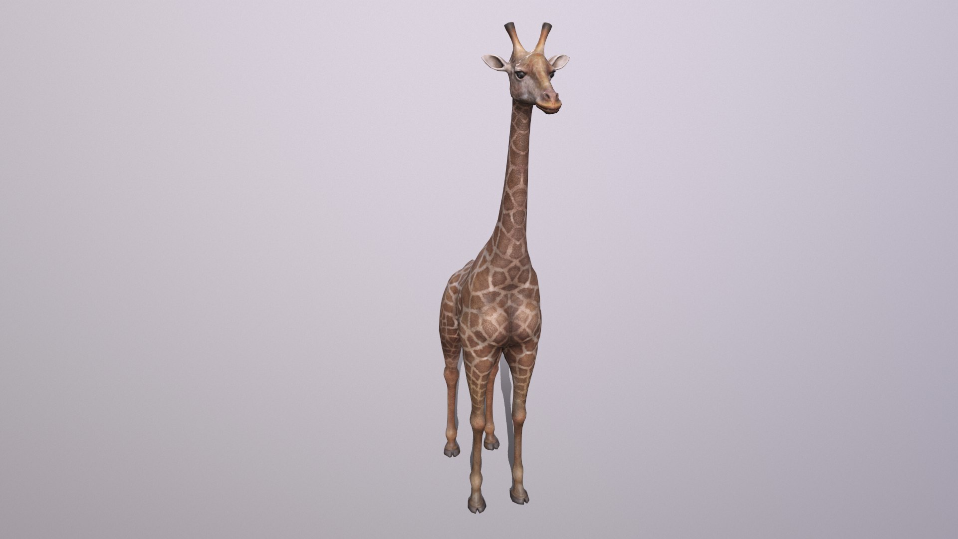 giraffe model https://p.turbosquid.com/ts-thumb/lS/xR158B/3R/giraffe_008/png/1773650082/1920x1080/fit_q87/8250b4ad0b379d27746290e95dcbfed83ceef7f6/giraffe_008.jpg