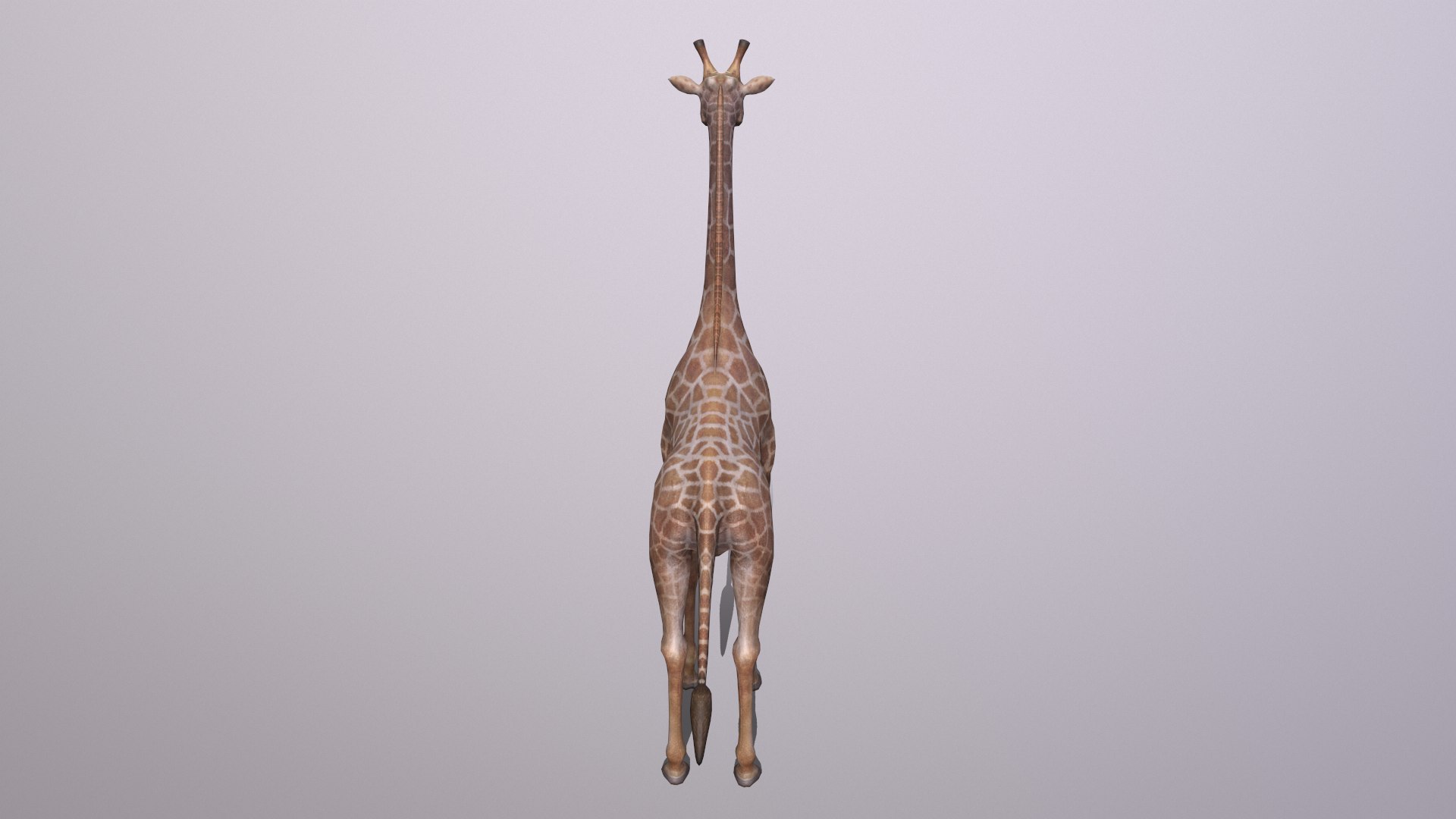 giraffe model https://p.turbosquid.com/ts-thumb/lS/xR158B/3Y/giraffe_004/png/1773650084/1920x1080/fit_q87/9d8738107d4206dda6859bd83c0b8fbfb0bc9813/giraffe_004.jpg