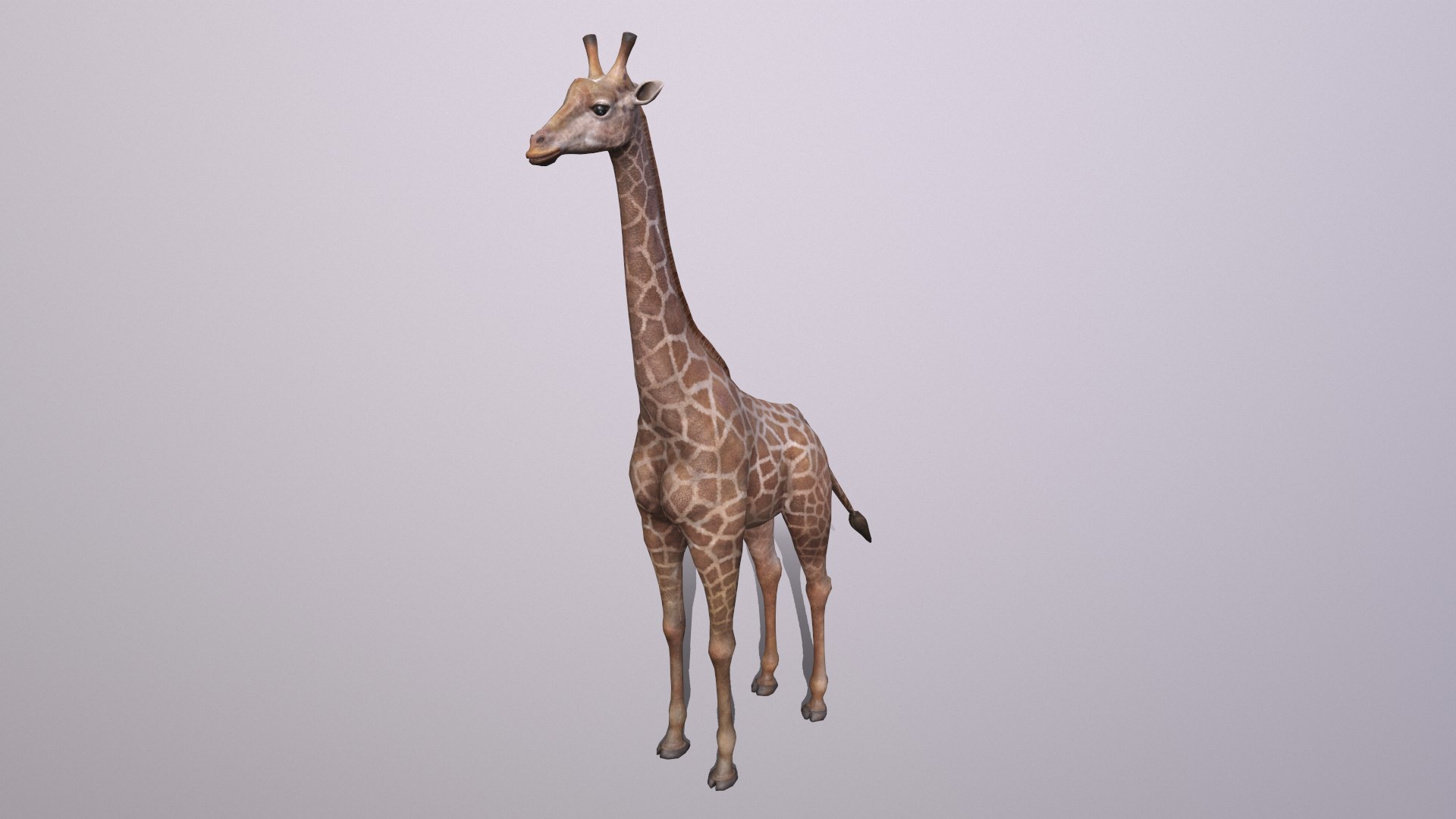 giraffe model https://p.turbosquid.com/ts-thumb/lS/xR158B/49/giraffe_010/png/1773650081/1920x1080/fit_q87/93666999fbd9e5cd99bbec644a4dfaa36626e570/giraffe_010.jpg
