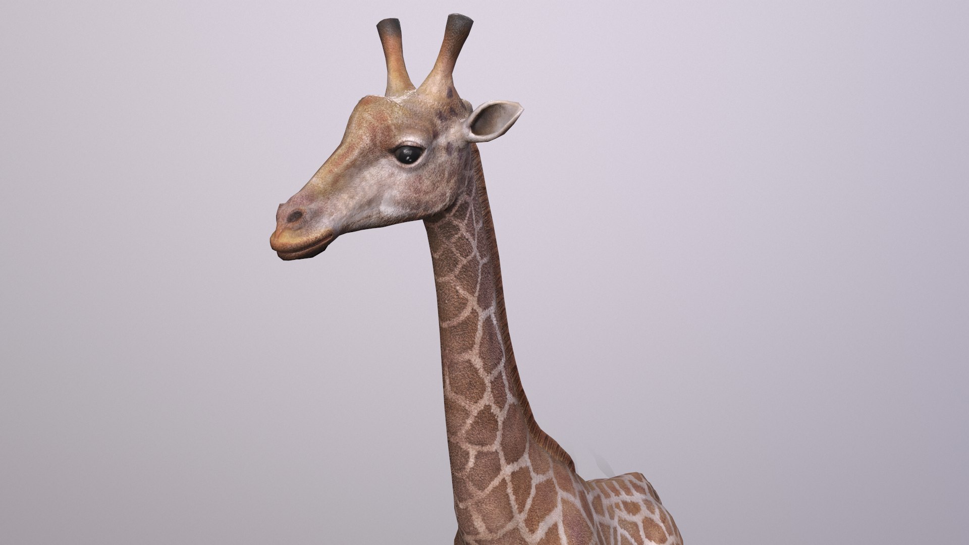 giraffe model https://p.turbosquid.com/ts-thumb/lS/xR158B/QD/giraffe_012/png/1773650079/1920x1080/fit_q87/49b8247e6e593d6e61c6f2a34e91b9d4783f7126/giraffe_012.jpg