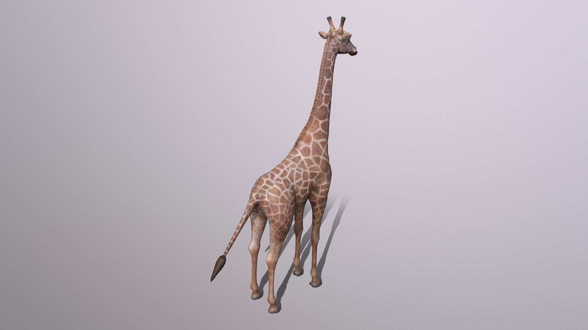 giraffe model https://p.turbosquid.com/ts-thumb/lS/xR158B/Tb/giraffe_005/png/1773650083/1920x1080/fit_q87/70b9bb23c73dd976bb67552378094ad3a9978d57/giraffe_005.jpg