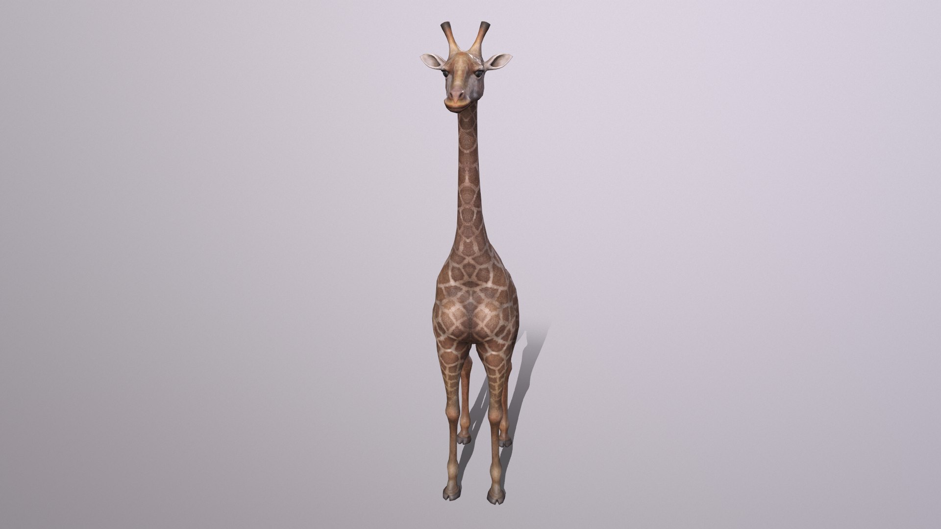 giraffe model https://p.turbosquid.com/ts-thumb/lS/xR158B/UE/giraffe_009/png/1773650081/1920x1080/fit_q87/b32e3a9bb50a1539366f06393af0f302b8e91888/giraffe_009.jpg