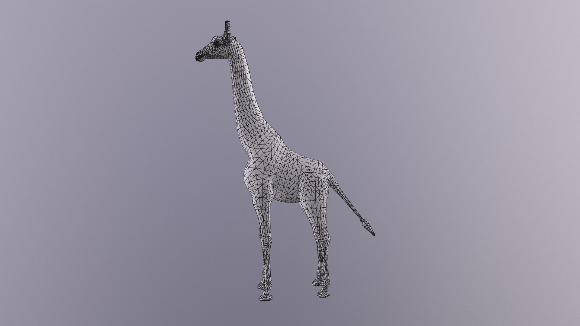 giraffe model https://p.turbosquid.com/ts-thumb/lS/xR158B/ZL/giraffe/png/1773650086/1920x1080/fit_q87/0c2013c03e6ab11e8def3594fc4fda7c1c95734f/giraffe.jpg