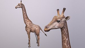 giraffe model