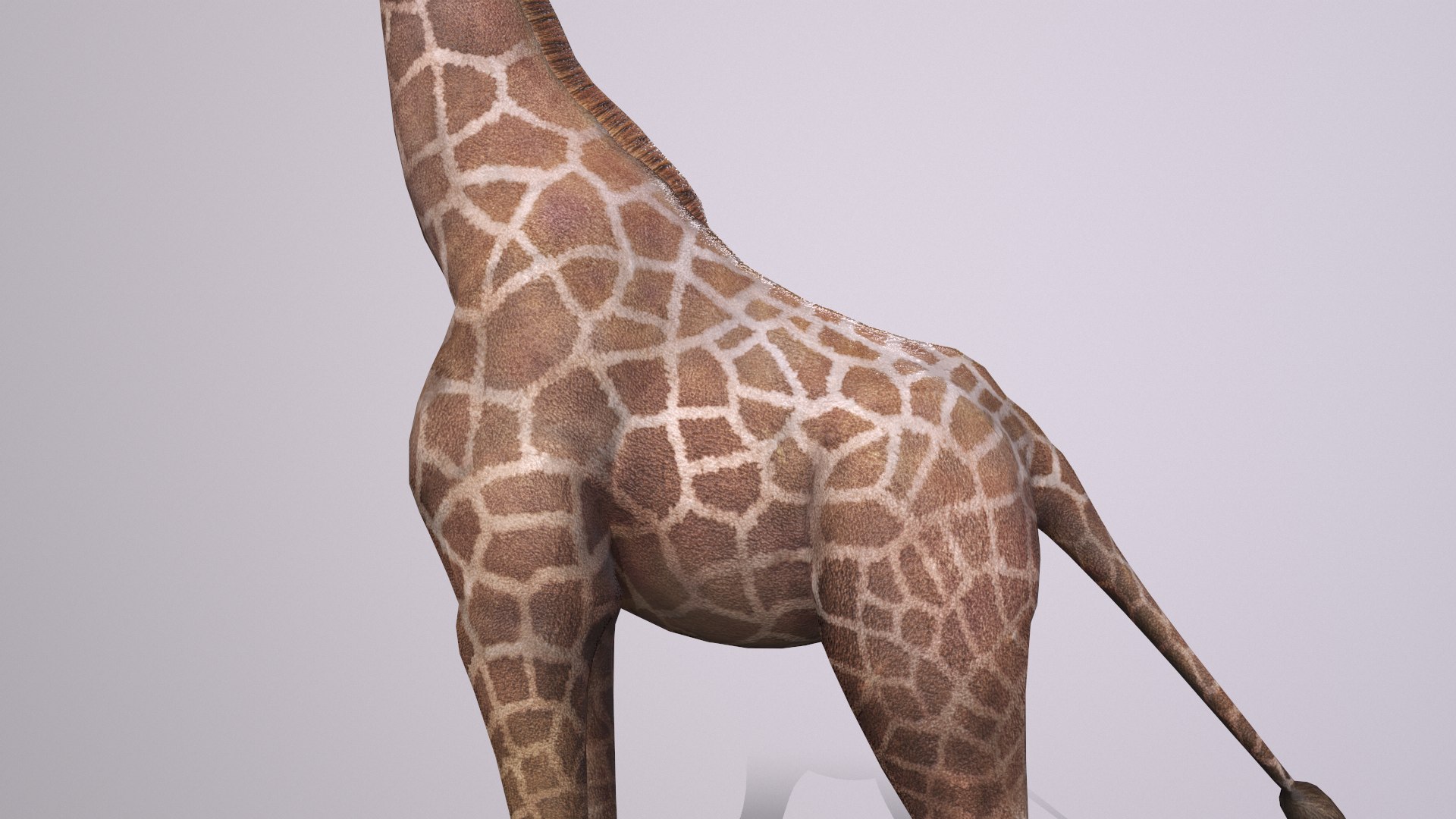 giraffe model https://p.turbosquid.com/ts-thumb/lS/xR158B/vk/giraffe_013/png/1773650080/1920x1080/fit_q87/c8ae420294030504f30f4ab0ee43a7648d118f77/giraffe_013.jpg