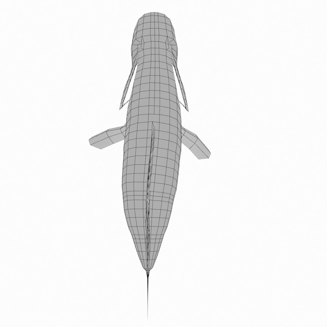 3d model of smallmouth bass https://p.turbosquid.com/ts-thumb/lS/zc1EcB/DAPzPc9G/smallmouth17_wire/jpg/1493965139/1920x1080/fit_q87/400055abc0b640e941e9e195143e72ce2e84daf3/smallmouth17_wire.jpg