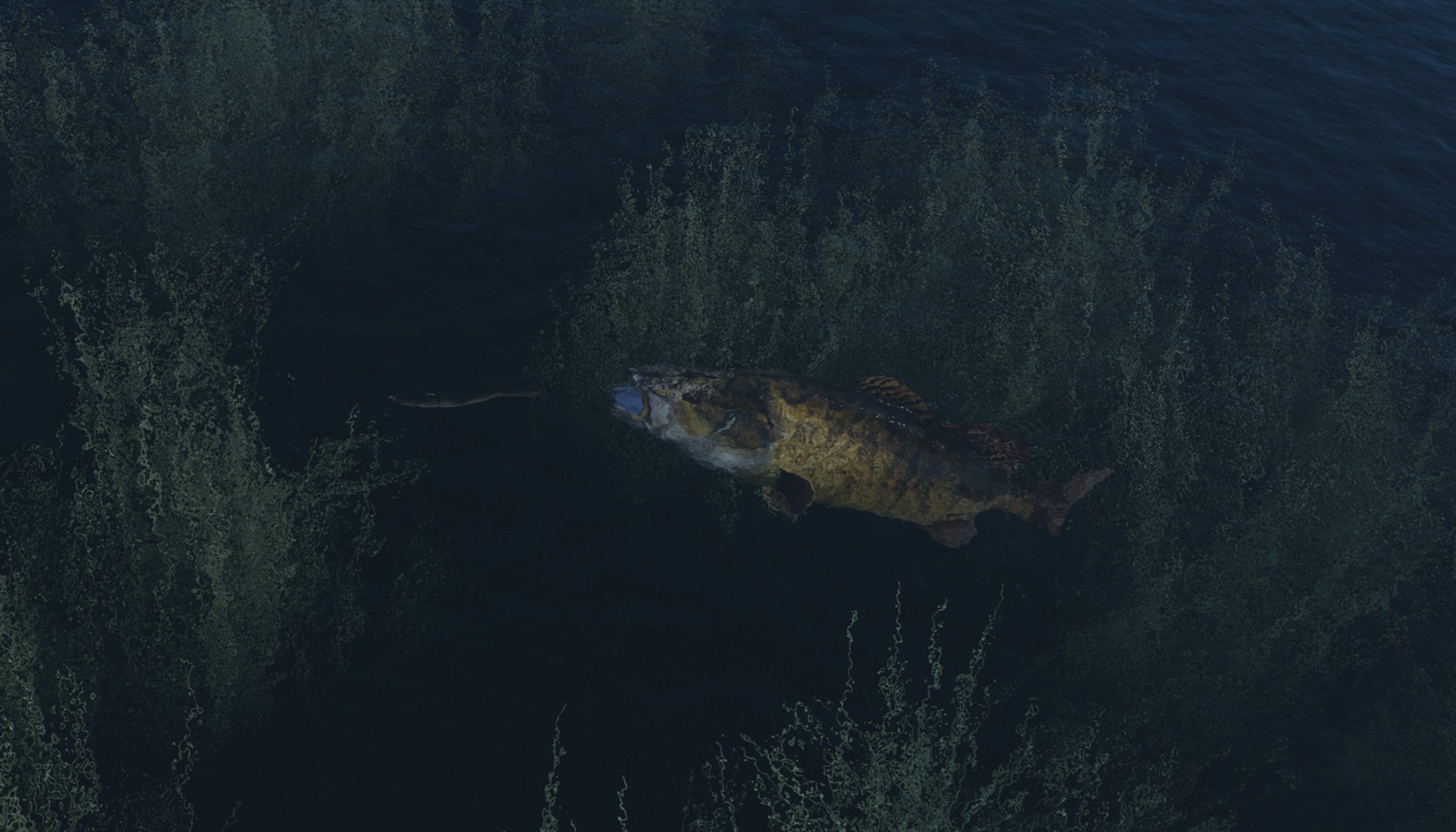 3d model of smallmouth bass https://p.turbosquid.com/ts-thumb/lS/zc1EcB/OkjhRkSH/smallmouth_07/jpg/1520821263/1920x1080/fit_q87/15719d6aae63d3c127ed23b4cce700f1572f7918/smallmouth_07.jpg