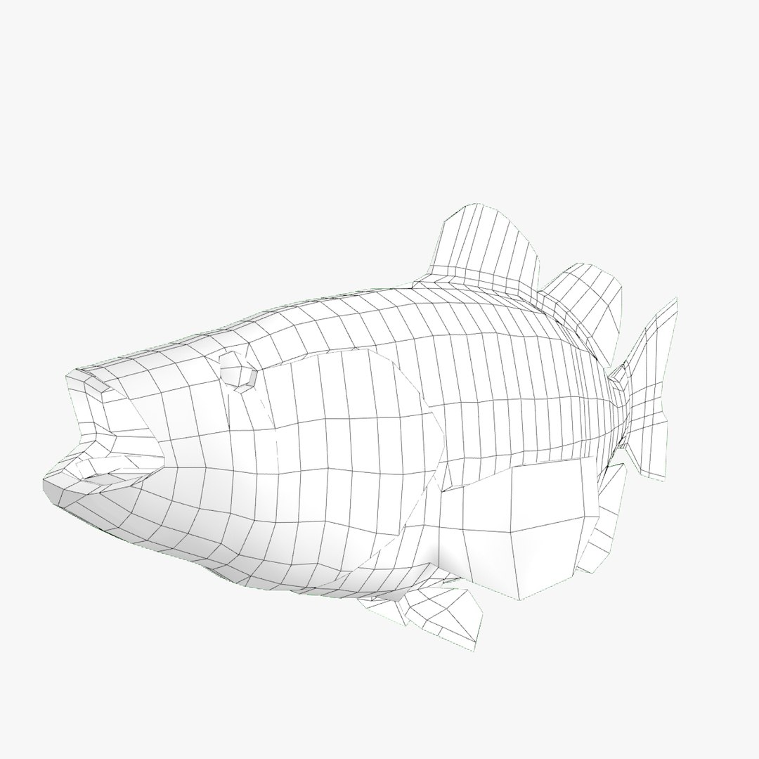 3d model of smallmouth bass https://p.turbosquid.com/ts-thumb/lS/zc1EcB/TucUhvBz/notsmooth_wire/jpg/1495545170/1920x1080/fit_q87/19ce9cabb8c418736eda7b95740420018a1cfe4d/notsmooth_wire.jpg