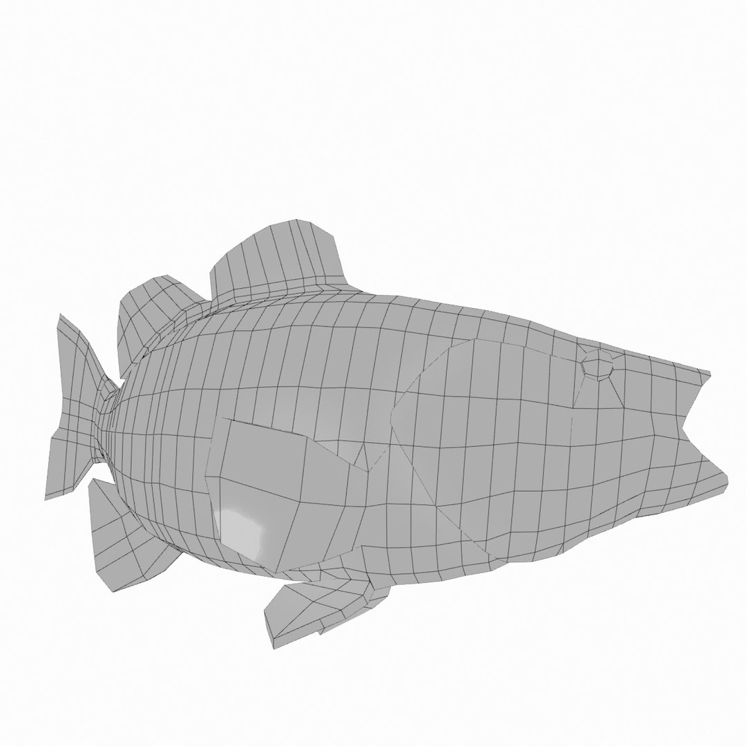 3d model of smallmouth bass https://p.turbosquid.com/ts-thumb/lS/zc1EcB/VuXcx4Ze/smallmouth15_wire/jpg/1493965139/1920x1080/fit_q87/ea11849a73cd859f53c49e7888fe9006401dd0cc/smallmouth15_wire.jpg