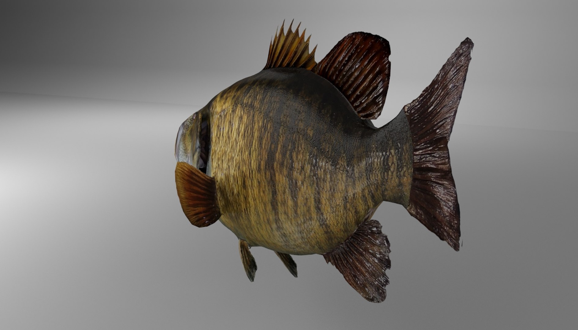 3d model of smallmouth bass https://p.turbosquid.com/ts-thumb/lS/zc1EcB/cLrXKGty/smallmouth_05/jpg/1520821263/1920x1080/fit_q87/e3557ace986acabc040e4f3187ef22fdf936c2e1/smallmouth_05.jpg