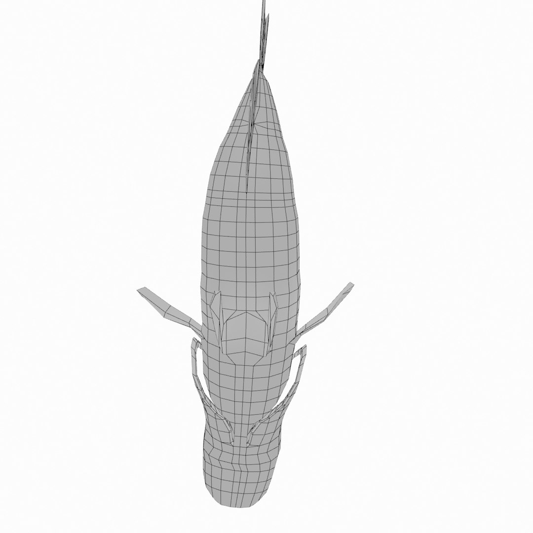 3d model of smallmouth bass https://p.turbosquid.com/ts-thumb/lS/zc1EcB/xHpvRuvV/smallmouth18_wire/jpg/1493965139/1920x1080/fit_q87/4ec9420438ef080d0ae6b9a53d56c01fc7169658/smallmouth18_wire.jpg