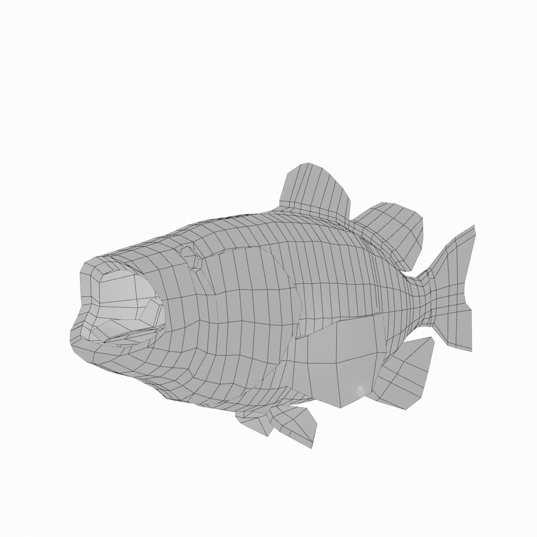3d model of smallmouth bass https://p.turbosquid.com/ts-thumb/lS/zc1EcB/yOhyXrJT/smallmouth13_wire/jpg/1493965139/1920x1080/fit_q87/26e6585f890ac7286584d73af5a4858a9dd4948d/smallmouth13_wire.jpg