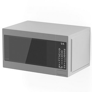 3D CAFE microwave model