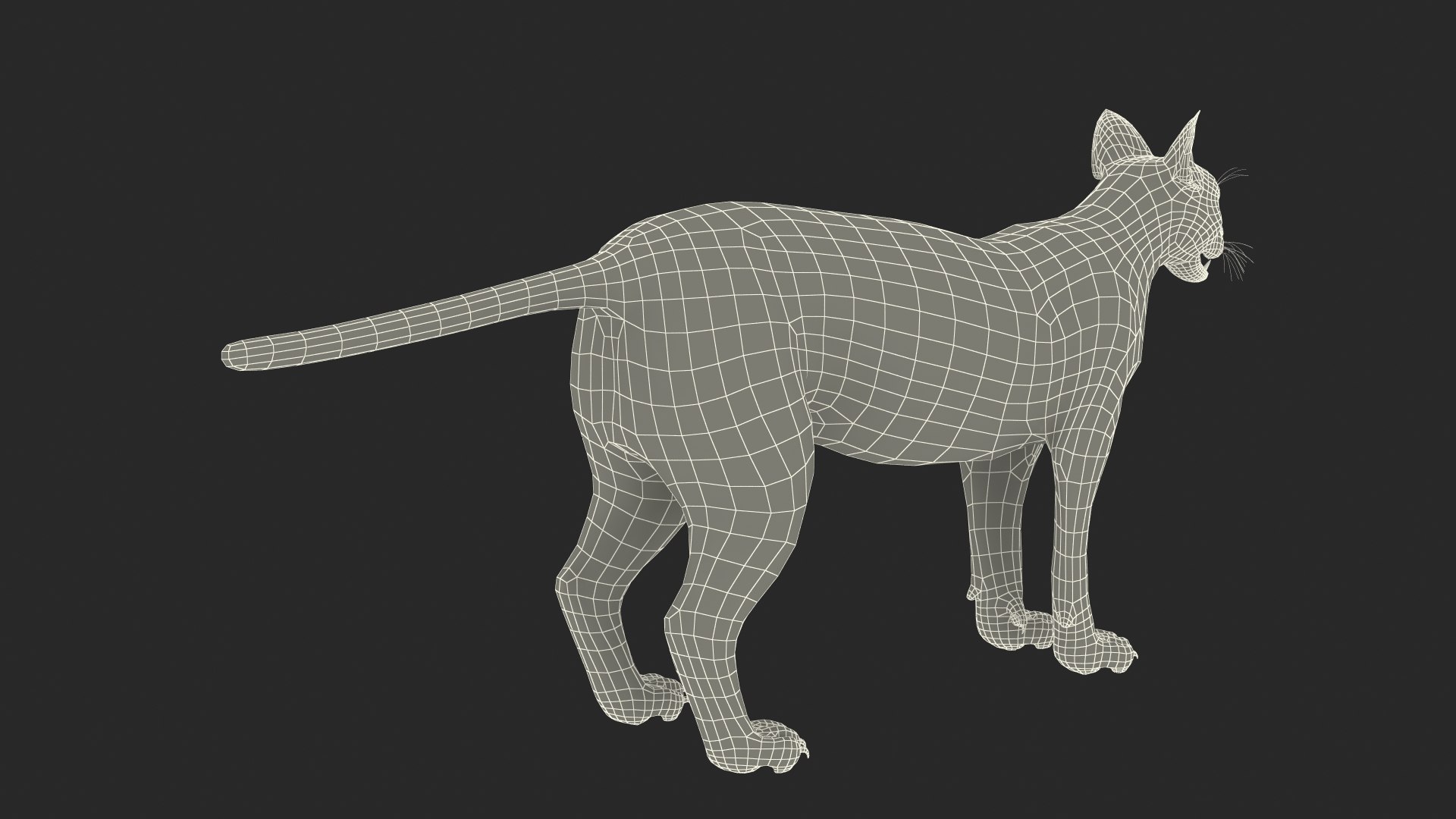 Caracal Fur Rigged 3D model https://p.turbosquid.com/ts-thumb/lT/Oqk7Rc/0d/caracalfurriggedmb3dmodel042/jpg/1706567363/1920x1080/fit_q87/65a02becfa0ef1aefe18813ae87f01c9097a8725/caracalfurriggedmb3dmodel042.jpg