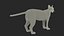 Caracal Fur Rigged