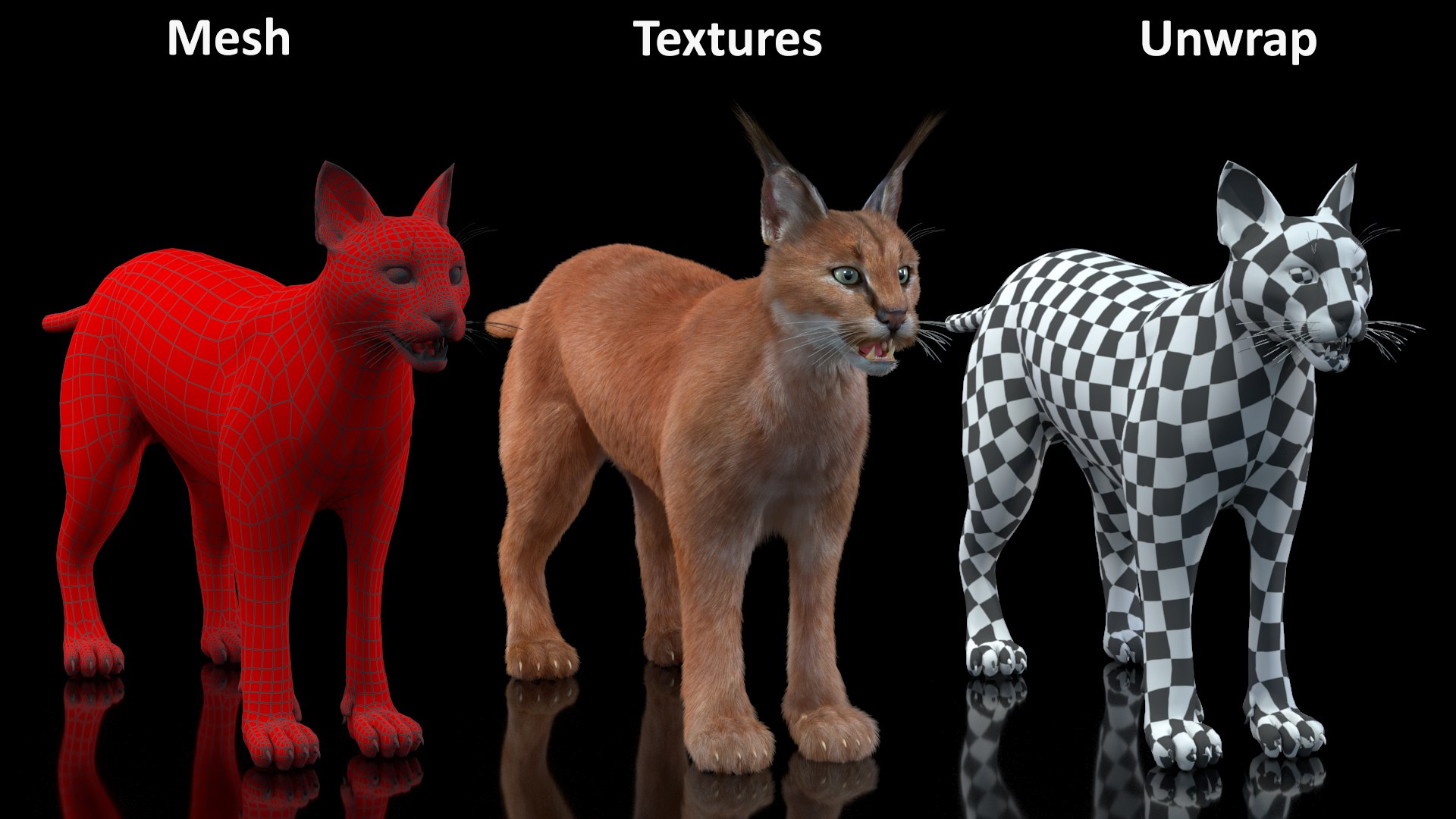 Caracal Fur Rigged 3D model https://p.turbosquid.com/ts-thumb/lT/Oqk7Rc/8K/caracalfurriggedmb3dmodel035/jpg/1706567327/1920x1080/fit_q87/f7a2bd3f520952a7fcb9e7f16c6da52db5a77edc/caracalfurriggedmb3dmodel035.jpg