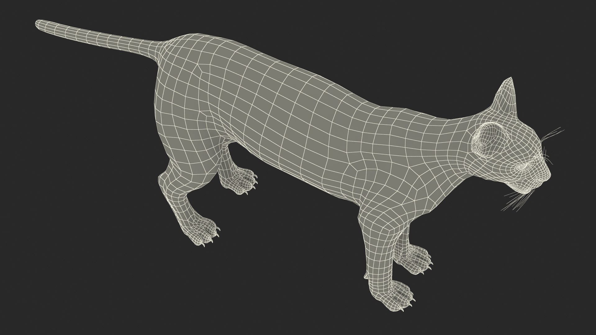 Caracal Fur Rigged 3D model https://p.turbosquid.com/ts-thumb/lT/Oqk7Rc/Hs/caracalfurriggedmb3dmodel043/jpg/1706567368/1920x1080/fit_q87/77fcb7518f16e72ec214eb0994a1fb6e11a85e50/caracalfurriggedmb3dmodel043.jpg