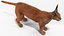 Caracal Fur Rigged