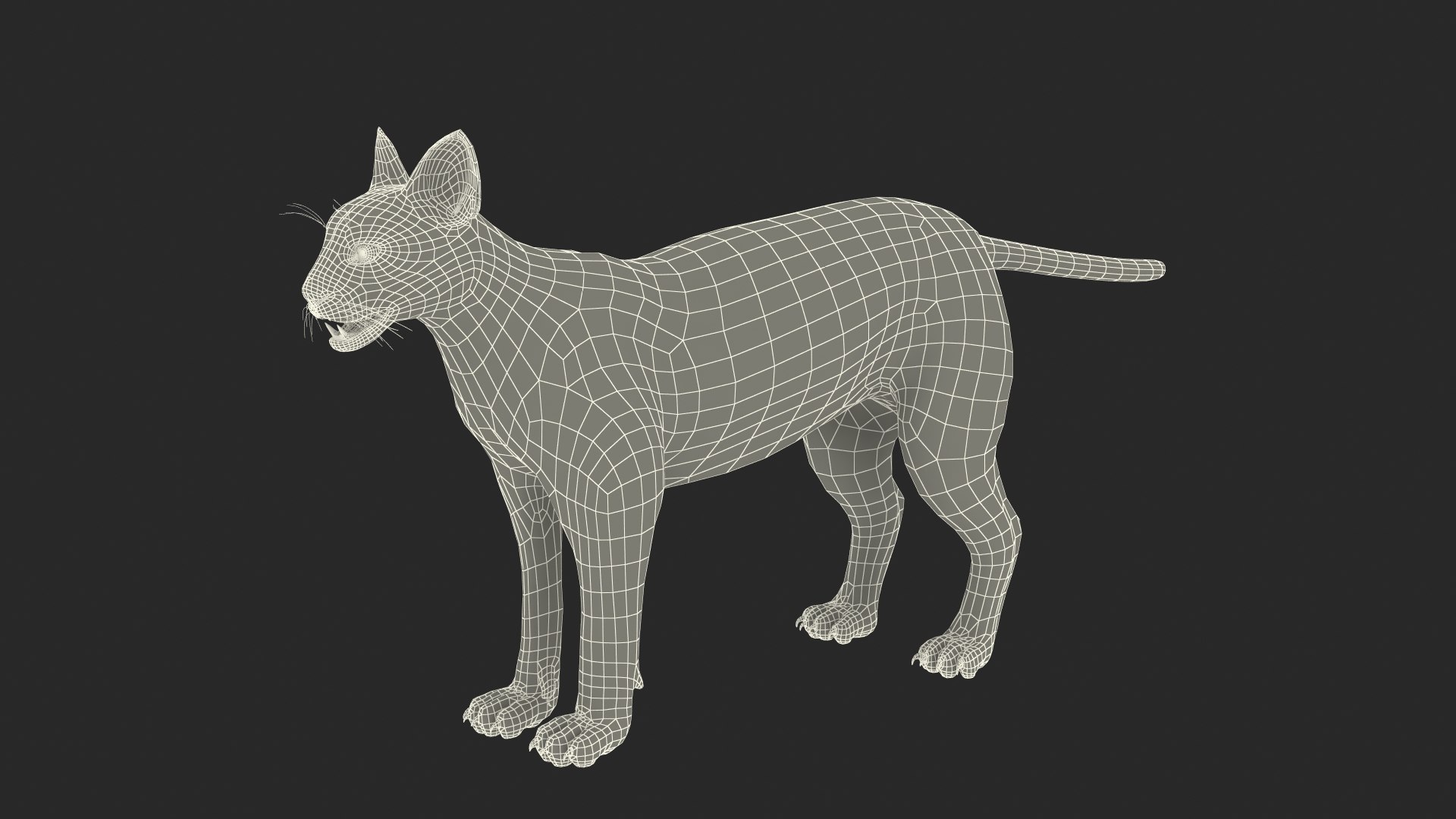 Caracal Fur Rigged 3D model https://p.turbosquid.com/ts-thumb/lT/Oqk7Rc/MH/caracalfurriggedmb3dmodel041/jpg/1706567358/1920x1080/fit_q87/abe491cf304e454c1d86684a362aa8e542cf0f7e/caracalfurriggedmb3dmodel041.jpg